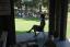 thumbnails/258F3550.jpg