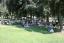 thumbnails/258F3564.jpg