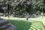 thumbnails/258F3565.jpg