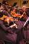 thumbnails/258F3658.jpg